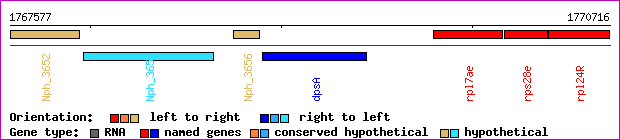 gene map