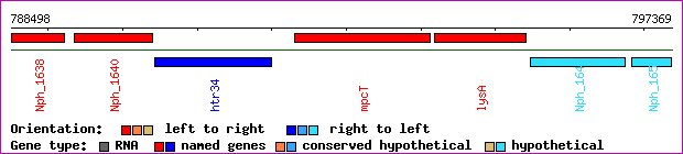 gene map