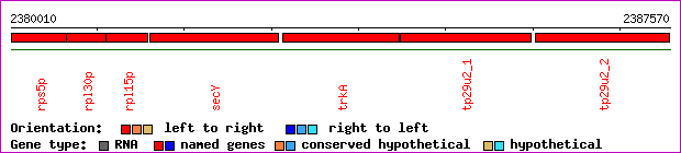 gene map