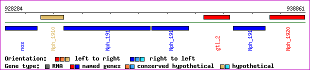 gene map