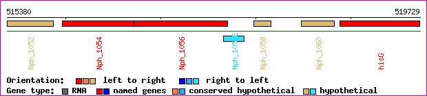 gene map