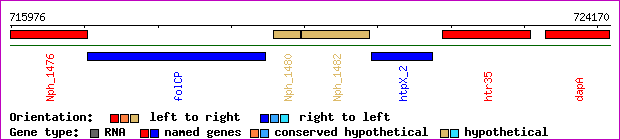 gene map