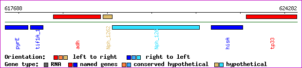 gene map