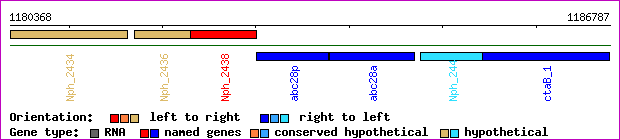 gene map