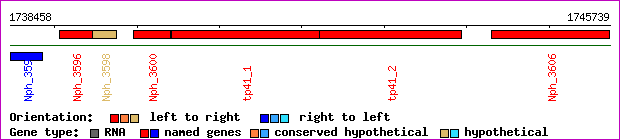 gene map