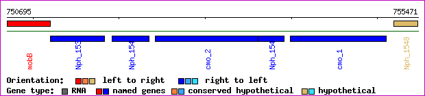 gene map