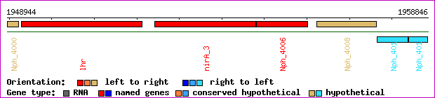 gene map