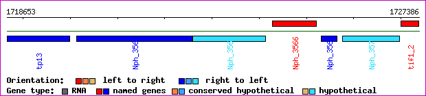gene map