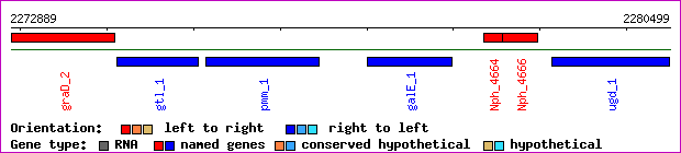 gene map