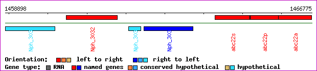 gene map
