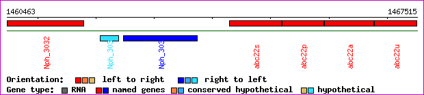 gene map