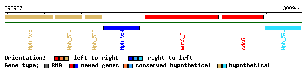 gene map