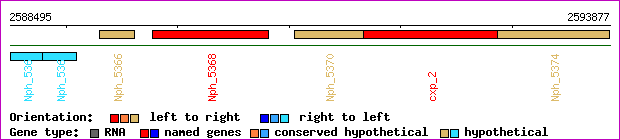 gene map