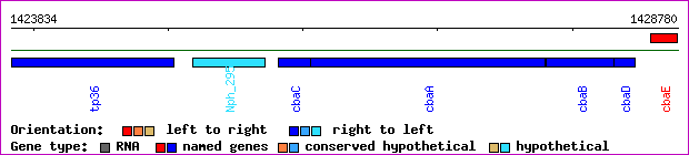 gene map