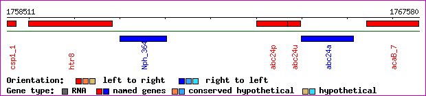 gene map