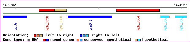 gene map