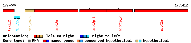 gene map
