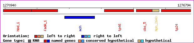gene map