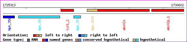 gene map