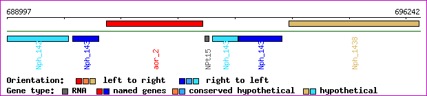 gene map