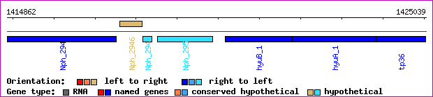 gene map
