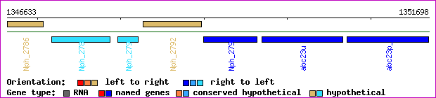 gene map