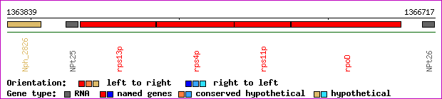 gene map