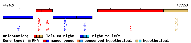 gene map