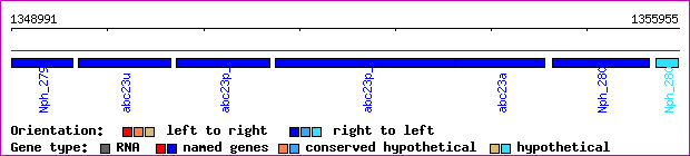 gene map