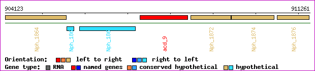gene map