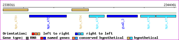 gene map