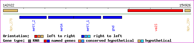 gene map