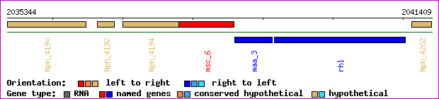 gene map