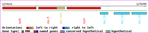 gene map