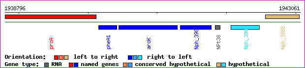gene map