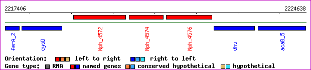 gene map