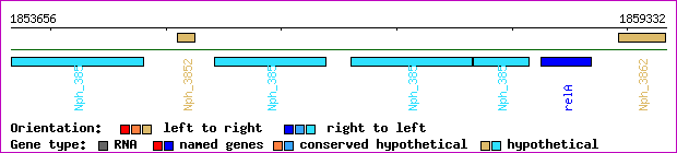 gene map
