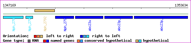 gene map