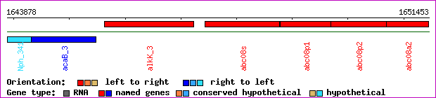gene map
