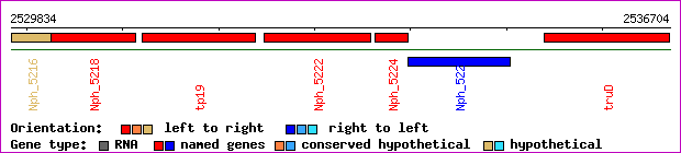 gene map