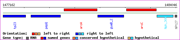 gene map