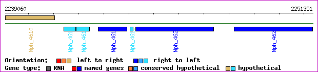 gene map