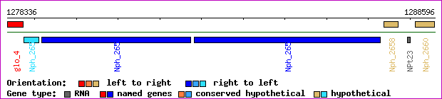 gene map