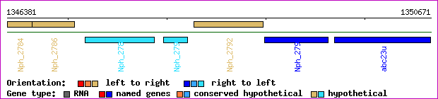 gene map