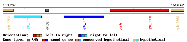 gene map