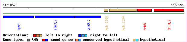 gene map