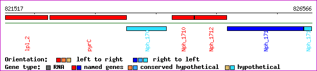 gene map