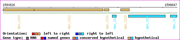 gene map