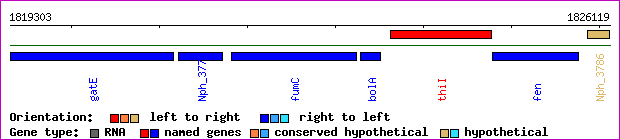 gene map