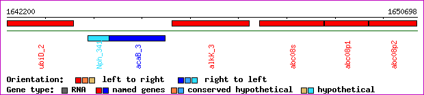 gene map